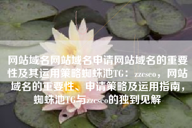 网站域名网站域名申请网站域名的重要性及其运用策略蜘蛛池TG：zzcseo，网站域名的重要性、申请策略及运用指南，蜘蛛池TG与zzcseo的独到见解