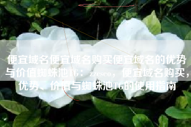 便宜域名便宜域名购买便宜域名的优势与价值蜘蛛池TG：zzcseo，便宜域名购买，优势、价值与蜘蛛池TG的使用指南