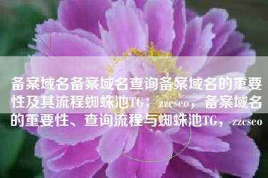 备案域名备案域名查询备案域名的重要性及其流程蜘蛛池TG：zzcseo，备案域名的重要性、查询流程与蜘蛛池TG，zzcseo