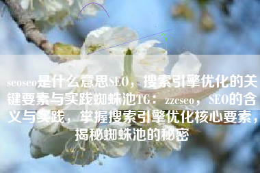 seoseo是什么意思SEO，搜索引擎优化的关键要素与实践蜘蛛池TG：zzcseo，SEO的含义与实践，掌握搜索引擎优化核心要素，揭秘蜘蛛池的秘密