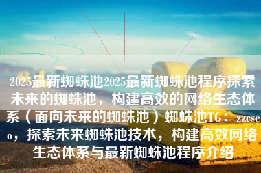 2025最新蜘蛛池2025最新蜘蛛池程序探索未来的蜘蛛池，构建高效的网络生态体系（面向未来的蜘蛛池）蜘蛛池TG：zzcseo，探索未来蜘蛛池技术，构建高效网络生态体系与最新蜘蛛池程序介绍