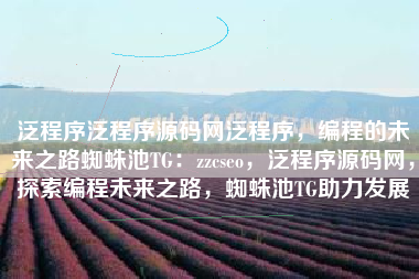 泛程序泛程序源码网泛程序，编程的未来之路蜘蛛池TG：zzcseo，泛程序源码网，探索编程未来之路，蜘蛛池TG助力发展