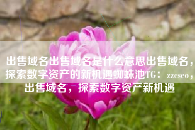 出售域名出售域名是什么意思出售域名，探索数字资产的新机遇蜘蛛池TG：zzcseo，出售域名，探索数字资产新机遇