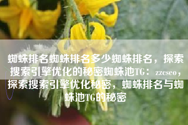 蜘蛛排名蜘蛛排名多少蜘蛛排名，探索搜索引擎优化的秘密蜘蛛池TG：zzcseo，探索搜索引擎优化秘密，蜘蛛排名与蜘蛛池TG的秘密