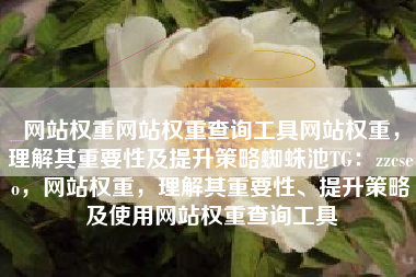 网站权重网站权重查询工具网站权重，理解其重要性及提升策略蜘蛛池TG：zzcseo，网站权重，理解其重要性、提升策略及使用网站权重查询工具