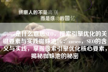 seoseo是什么意思SEO，搜索引擎优化的关键要素与实践蜘蛛池TG：zzcseo，SEO的含义与实践，掌握搜索引擎优化核心要素，揭秘蜘蛛池的秘密