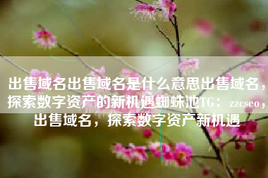 出售域名出售域名是什么意思出售域名，探索数字资产的新机遇蜘蛛池TG：zzcseo，出售域名，探索数字资产新机遇