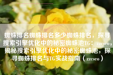 蜘蛛排名蜘蛛排名多少蜘蛛排名，探寻搜索引擎优化中的秘密蜘蛛池TG：zzcseo，揭秘搜索引擎优化中的秘密蜘蛛池，探寻蜘蛛排名与TG实战指南（zzcseo）