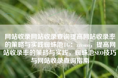 网站收录网站收录查询提高网站收录率的策略与实践蜘蛛池TG：zzcseo，提高网站收录率的策略与实践，蜘蛛池SEO技巧与网站收录查询指南