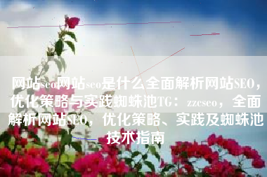 网站seo网站seo是什么全面解析网站SEO，优化策略与实践蜘蛛池TG：zzcseo，全面解析网站SEO，优化策略、实践及蜘蛛池技术指南