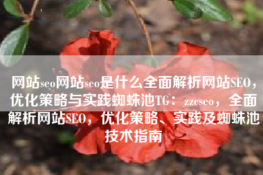 网站seo网站seo是什么全面解析网站SEO，优化策略与实践蜘蛛池TG：zzcseo，全面解析网站SEO，优化策略、实践及蜘蛛池技术指南