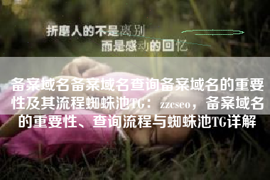 备案域名备案域名查询备案域名的重要性及其流程蜘蛛池TG：zzcseo，备案域名的重要性、查询流程与蜘蛛池TG详解