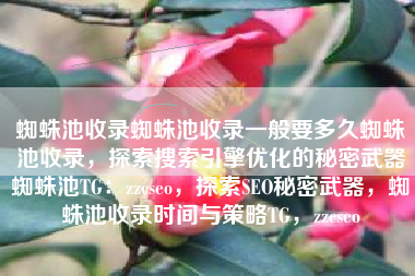 蜘蛛池收录蜘蛛池收录一般要多久蜘蛛池收录，探索搜索引擎优化的秘密武器蜘蛛池TG：zzcseo，探索SEO秘密武器，蜘蛛池收录时间与策略TG，zzcseo