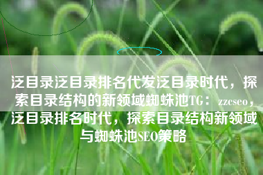 泛目录泛目录排名代发泛目录时代，探索目录结构的新领域蜘蛛池TG：zzcseo，泛目录排名时代，探索目录结构新领域与蜘蛛池SEO策略