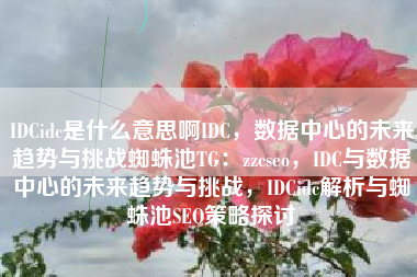 IDCidc是什么意思啊IDC，数据中心的未来趋势与挑战蜘蛛池TG：zzcseo，IDC与数据中心的未来趋势与挑战，IDCidc解析与蜘蛛池SEO策略探讨
