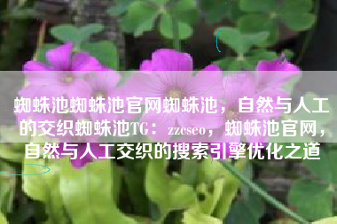 蜘蛛池蜘蛛池官网蜘蛛池，自然与人工的交织蜘蛛池TG：zzcseo，蜘蛛池官网，自然与人工交织的搜索引擎优化之道