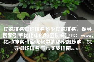 蜘蛛排名蜘蛛排名多少蜘蛛排名，探寻搜索引擎优化中的秘密蜘蛛池TG：zzcseo，揭秘搜索引擎优化中的秘密蜘蛛池，探寻蜘蛛排名与TG实战指南zzcseo