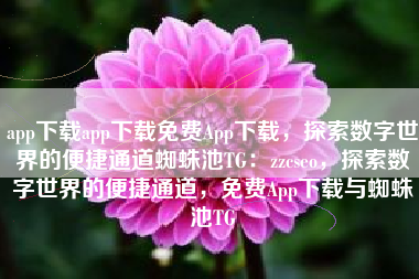 app下载app下载免费App下载，探索数字世界的便捷通道蜘蛛池TG：zzcseo，探索数字世界的便捷通道，免费App下载与蜘蛛池TG