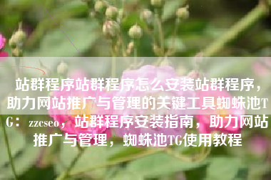 站群程序站群程序怎么安装站群程序，助力网站推广与管理的关键工具蜘蛛池TG：zzcseo，站群程序安装指南，助力网站推广与管理，蜘蛛池TG使用教程