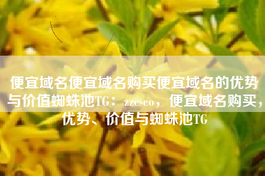 便宜域名便宜域名购买便宜域名的优势与价值蜘蛛池TG：zzcseo，便宜域名购买，优势、价值与蜘蛛池TG
