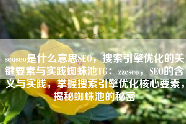 seoseo是什么意思SEO，搜索引擎优化的关键要素与实践蜘蛛池TG：zzcseo，SEO的含义与实践，掌握搜索引擎优化核心要素，揭秘蜘蛛池的秘密