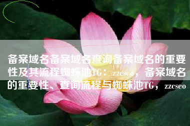 备案域名备案域名查询备案域名的重要性及其流程蜘蛛池TG：zzcseo，备案域名的重要性、查询流程与蜘蛛池TG，zzcseo