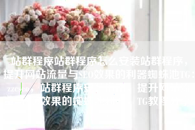 站群程序站群程序怎么安装站群程序，提升网站流量与SEO效果的利器蜘蛛池TG：zzcseo，站群程序安装指南，提升网站流量与SEO效果的蜘蛛池利器，TG教程分享zzcseo