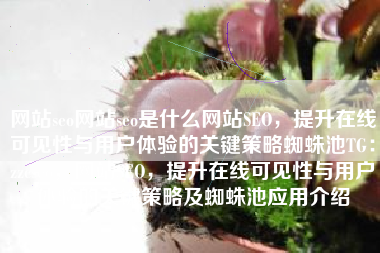 网站seo网站seo是什么网站SEO，提升在线可见性与用户体验的关键策略蜘蛛池TG：zzcseo，网站SEO，提升在线可见性与用户体验的关键策略及蜘蛛池应用介绍