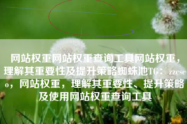 网站权重网站权重查询工具网站权重，理解其重要性及提升策略蜘蛛池TG：zzcseo，网站权重，理解其重要性、提升策略及使用网站权重查询工具