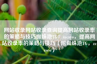 网站收录网站收录查询提高网站收录率的策略与技巧蜘蛛池TG：zzcseo，提高网站收录率的策略与技巧（附蜘蛛池TG，zzcseo）