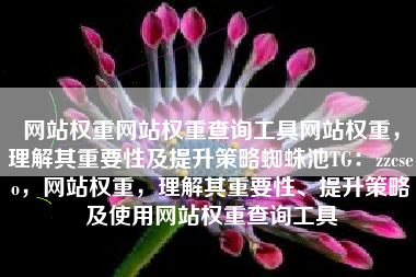 网站权重网站权重查询工具网站权重，理解其重要性及提升策略蜘蛛池TG：zzcseo，网站权重，理解其重要性、提升策略及使用网站权重查询工具