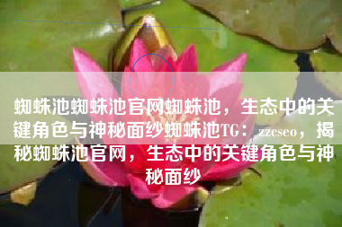 蜘蛛池蜘蛛池官网蜘蛛池，生态中的关键角色与神秘面纱蜘蛛池TG：zzcseo，揭秘蜘蛛池官网，生态中的关键角色与神秘面纱