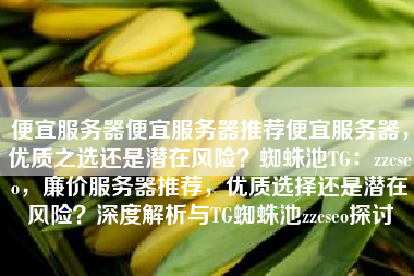 便宜服务器便宜服务器推荐便宜服务器，优质之选还是潜在风险？蜘蛛池TG：zzcseo，廉价服务器推荐，优质选择还是潜在风险？深度解析与TG蜘蛛池zzcseo探讨