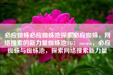 必应蜘蛛必应蜘蛛池探索必应蜘蛛，网络搜索的新力量蜘蛛池TG：zzcseo，必应蜘蛛与蜘蛛池，探索网络搜索新力量