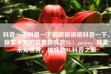 科普一下科普一下锵锵锵锵锵科普一下，探索未知的世界蜘蛛池TG：zzcseo，探索未知世界，蜘蛛池TG科普之旅
