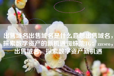 出售域名出售域名是什么意思出售域名，探索数字资产的新机遇蜘蛛池TG：zzcseo，出售域名，探索数字资产新机遇