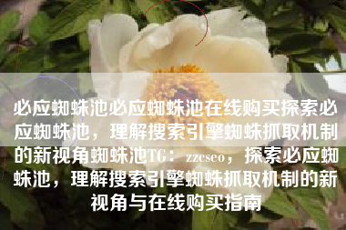 必应蜘蛛池必应蜘蛛池在线购买探索必应蜘蛛池，理解搜索引擎蜘蛛抓取机制的新视角蜘蛛池TG：zzcseo，探索必应蜘蛛池，理解搜索引擎蜘蛛抓取机制的新视角与在线购买指南