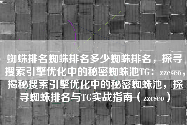 蜘蛛排名蜘蛛排名多少蜘蛛排名，探寻搜索引擎优化中的秘密蜘蛛池TG：zzcseo，揭秘搜索引擎优化中的秘密蜘蛛池，探寻蜘蛛排名与TG实战指南（zzcseo）