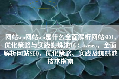 网站seo网站seo是什么全面解析网站SEO，优化策略与实践蜘蛛池TG：zzcseo，全面解析网站SEO，优化策略、实践及蜘蛛池技术指南