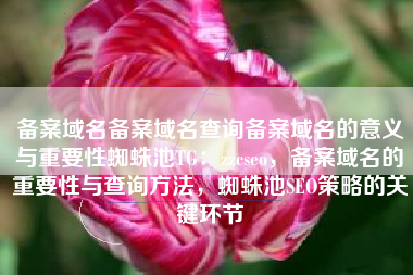 备案域名备案域名查询备案域名的意义与重要性蜘蛛池TG：zzcseo，备案域名的重要性与查询方法，蜘蛛池SEO策略的关键环节