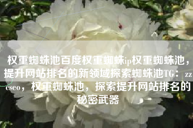 权重蜘蛛池百度权重蜘蛛ip权重蜘蛛池，提升网站排名的新领域探索蜘蛛池TG：zzcseo，权重蜘蛛池，探索提升网站排名的秘密武器
