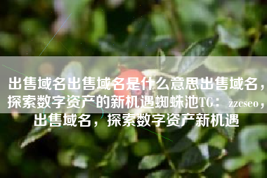 出售域名出售域名是什么意思出售域名，探索数字资产的新机遇蜘蛛池TG：zzcseo，出售域名，探索数字资产新机遇