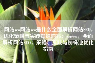 网站seo网站seo是什么全面解析网站SEO，优化策略与实践蜘蛛池TG：zzcseo，全面解析网站SEO，策略、实践与蜘蛛池优化指南