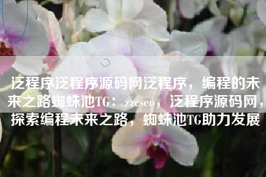 泛程序泛程序源码网泛程序，编程的未来之路蜘蛛池TG：zzcseo，泛程序源码网，探索编程未来之路，蜘蛛池TG助力发展