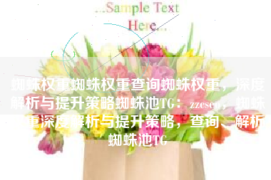 蜘蛛权重蜘蛛权重查询蜘蛛权重，深度解析与提升策略蜘蛛池TG：zzcseo，蜘蛛权重深度解析与提升策略，查询、解析蜘蛛池TG