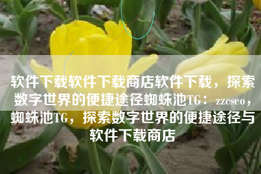 软件下载软件下载商店软件下载，探索数字世界的便捷途径蜘蛛池TG：zzcseo，蜘蛛池TG，探索数字世界的便捷途径与软件下载商店