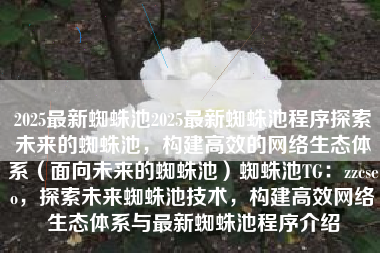 2025最新蜘蛛池2025最新蜘蛛池程序探索未来的蜘蛛池，构建高效的网络生态体系（面向未来的蜘蛛池）蜘蛛池TG：zzcseo，探索未来蜘蛛池技术，构建高效网络生态体系与最新蜘蛛池程序介绍