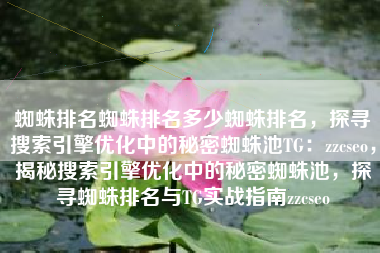 蜘蛛排名蜘蛛排名多少蜘蛛排名，探寻搜索引擎优化中的秘密蜘蛛池TG：zzcseo，揭秘搜索引擎优化中的秘密蜘蛛池，探寻蜘蛛排名与TG实战指南zzcseo