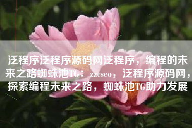 泛程序泛程序源码网泛程序，编程的未来之路蜘蛛池TG：zzcseo，泛程序源码网，探索编程未来之路，蜘蛛池TG助力发展