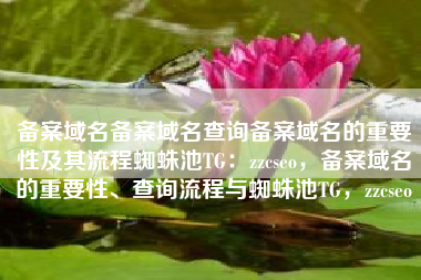 备案域名备案域名查询备案域名的重要性及其流程蜘蛛池TG：zzcseo，备案域名的重要性、查询流程与蜘蛛池TG，zzcseo